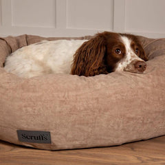 Oslo Ring Donut Dog Bed - Desert Sand