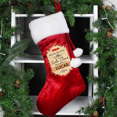 Personalised Special Delivery Red Velvet Christmas Stocking For Dogs