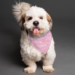 Personalised Pink Princess Dog Bandana | Personalised Bandanas For Dogs