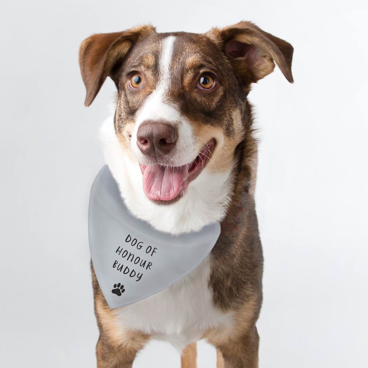 Personalised Any Text Grey Dog Bandana | Personalised Bandanas For Dogs