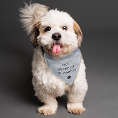 Personalised Any Text Grey Dog Bandana | Personalised Bandanas For Dogs