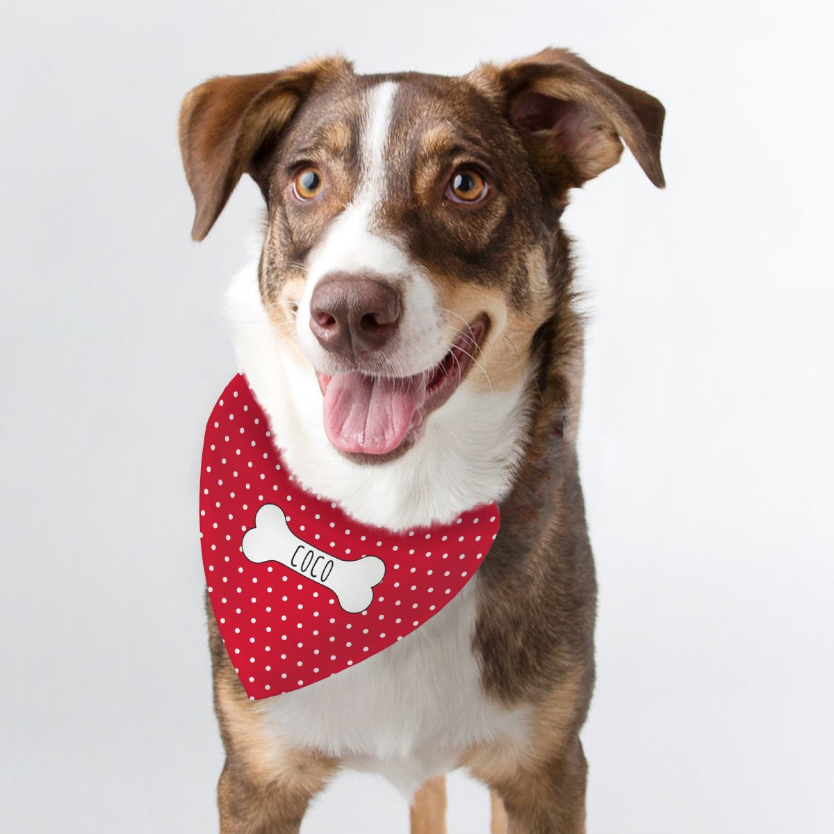 Personalised Red Polka Dot Dog Bandana | Personalised Bandanas For Dogs