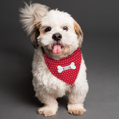Personalised Red Polka Dot Dog Bandana | Personalised Bandanas For Dogs