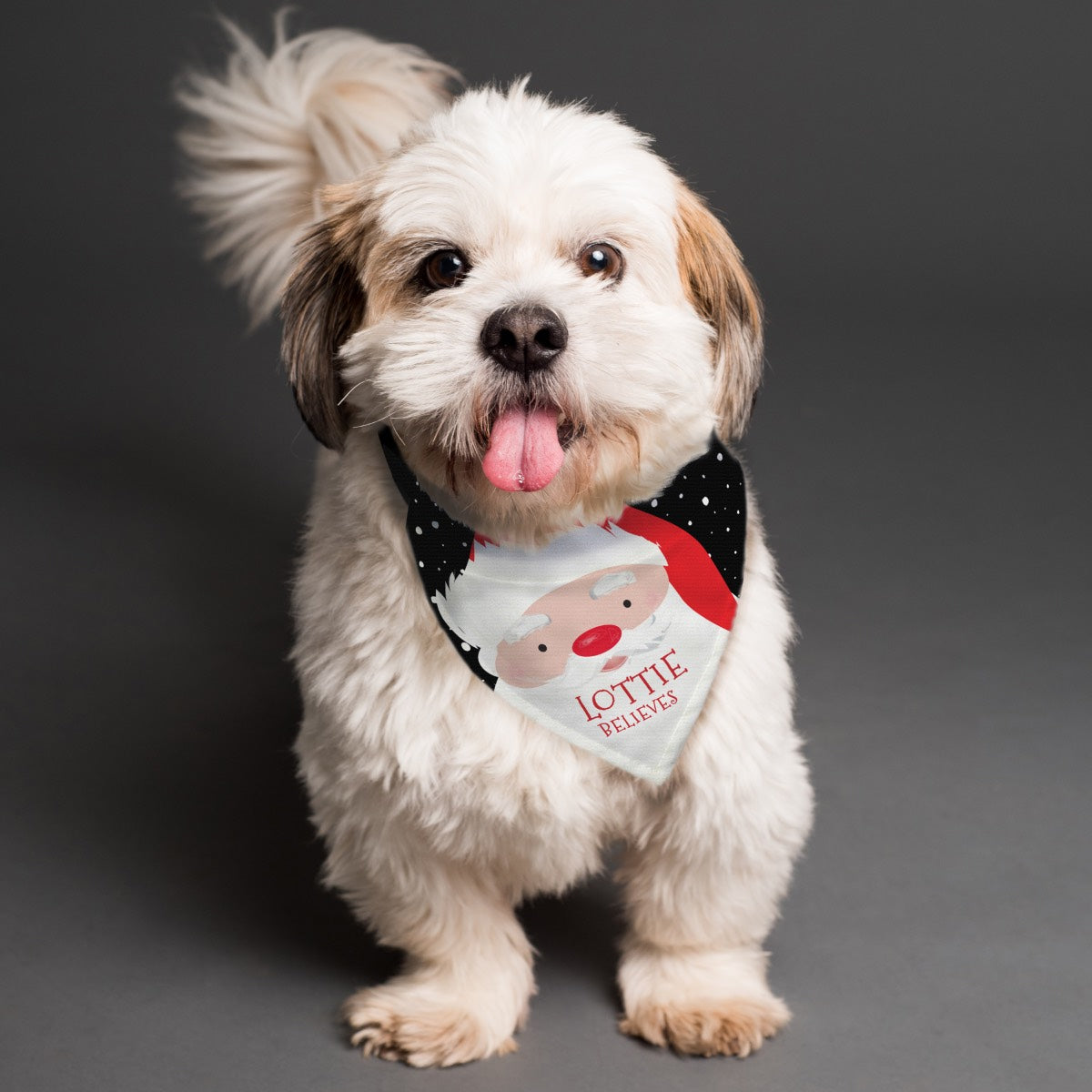 Personalised Santa Dog Bandana | Christmas Dog Bandana