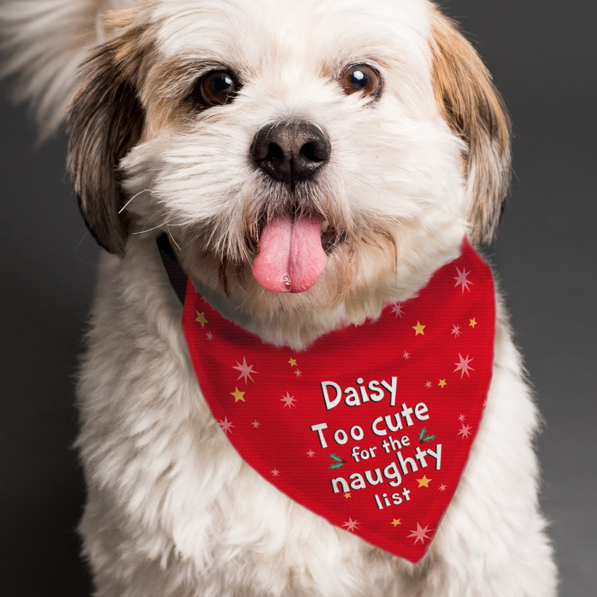 Personalised 'Too cute for the naughty list' Dog Bandana | Christmas Bandanas For Dogs