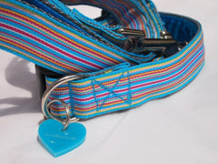 Ice Pop Blue Stripe Dog Collar and Lead Set