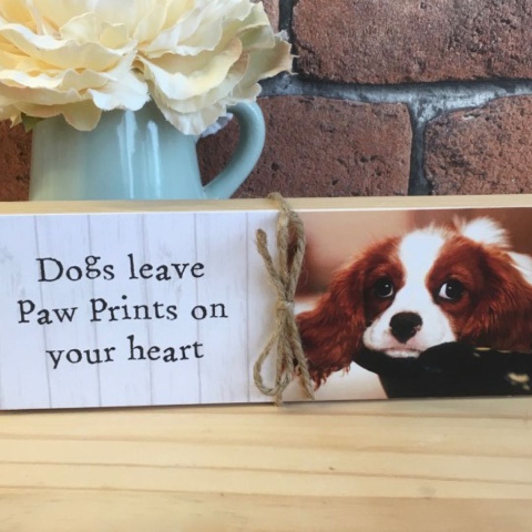 Personalised Any Message Dog Block