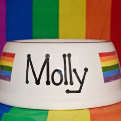 Personalised Gay Pride Slanted Dog Bowls