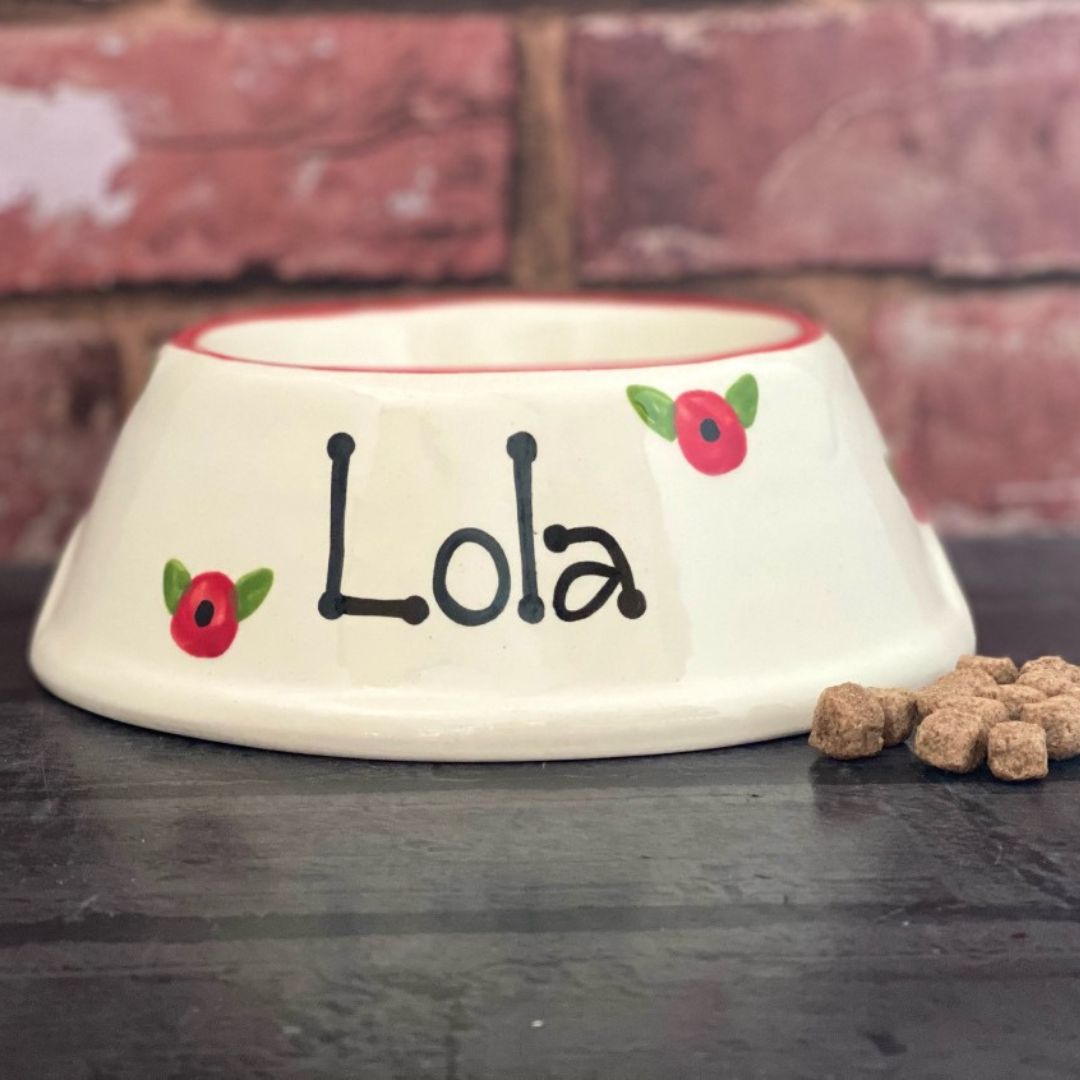 Personalised Poppy Design Slanted Dog Bowls | Personalised Spaniel Bowls