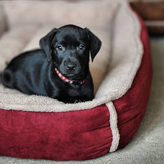 Winterberry Red Fleece Cradle Dog Bed XXL