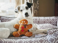 P.L.A.Y Christmas Gingerbread Man Dog Toy