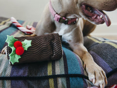 P.L.A.Y Christmas Yule Log Plush Dog Toy