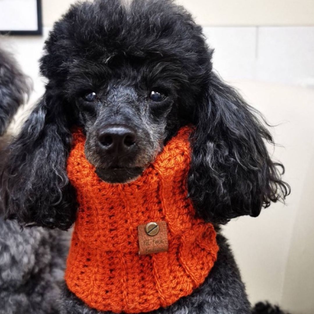 Pumpkin Orange Roll Top Snood For Dogs