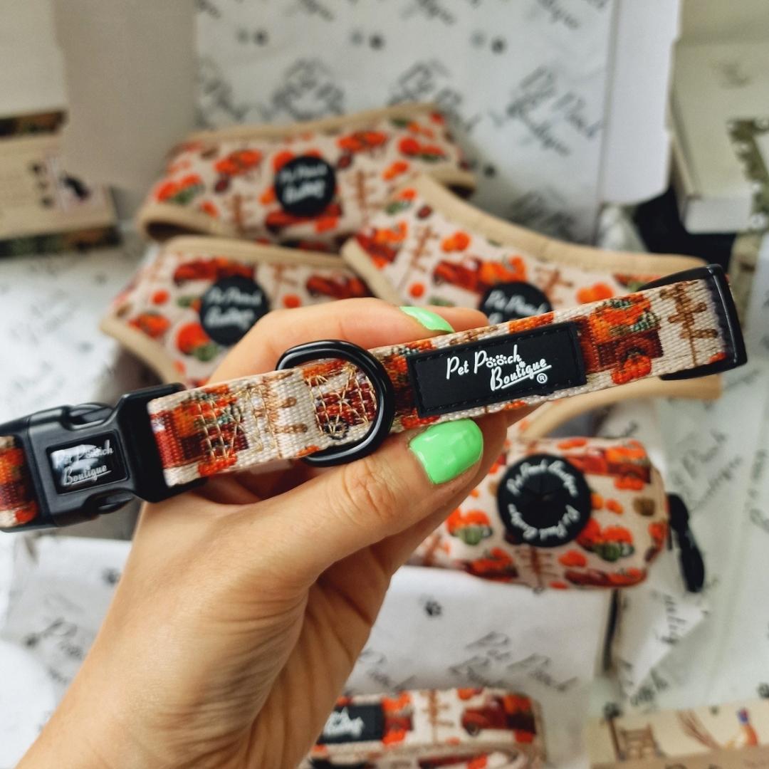 Pumpkin Patch Cart Dog Collar