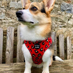 Red Leopard Dog Harness