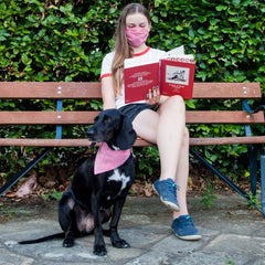 Creature Clothes Slip On Bandana Red And White Stripe | Dog Bandanas