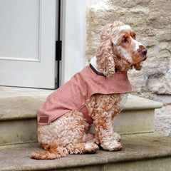 Sandstone Tweed Dog Coat | Mutts and Hounds