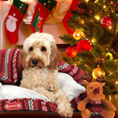 Scruffs Santa Paws Christmas Dog Blanket & Reindeer Toy Gift Set