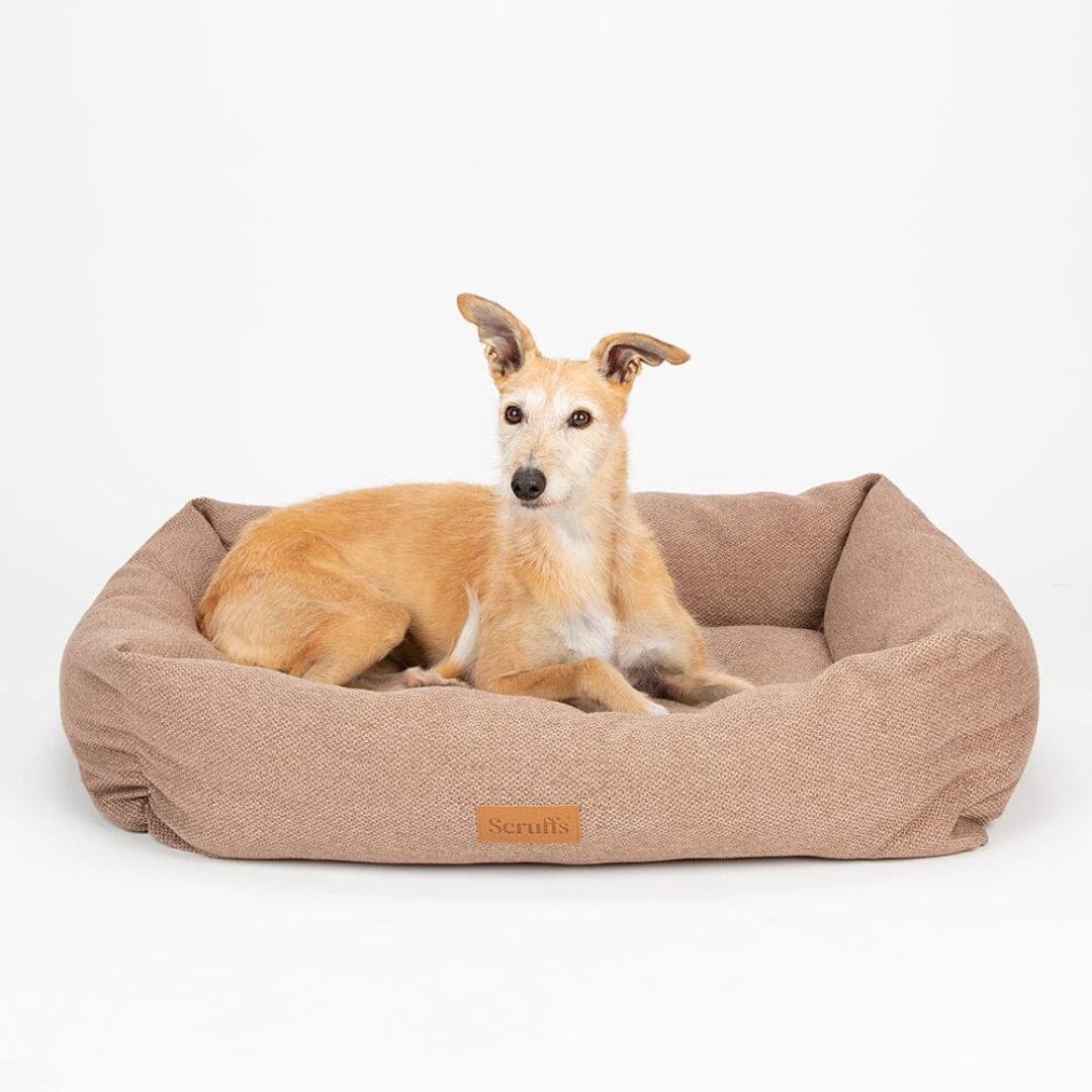 Seattle Box Dog Bed - Sienna Brown | Scruffs