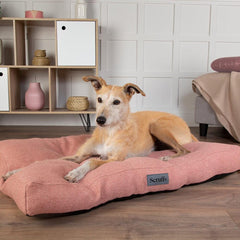 Seattle Mattress Dog Bed - Coral Pink | Scruffs