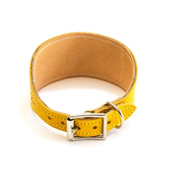 Hiro And Wolf Shuka Blue Hound Collar
