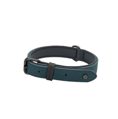 Brights Tech Teal Vegan Leather Dog Collar