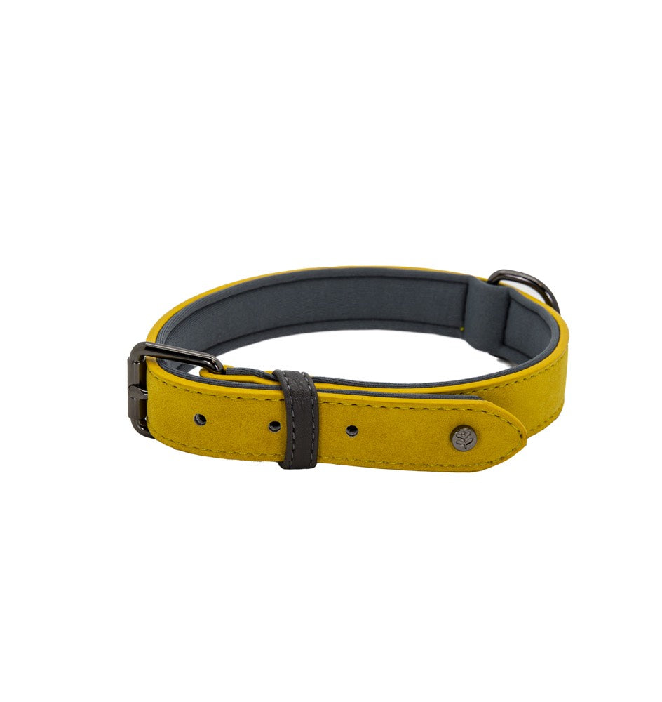 Brights Tech Mustard Vegan Leather Dog Collar
