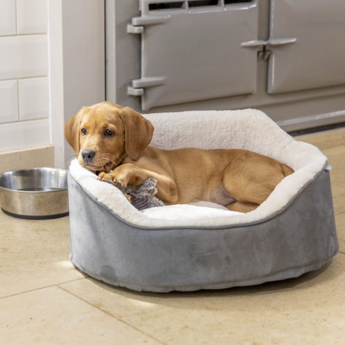Soft Touch Puppy Bed by House of Paws