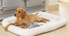 Soft Touch Puppy Crate Mat Cream by House of Paws