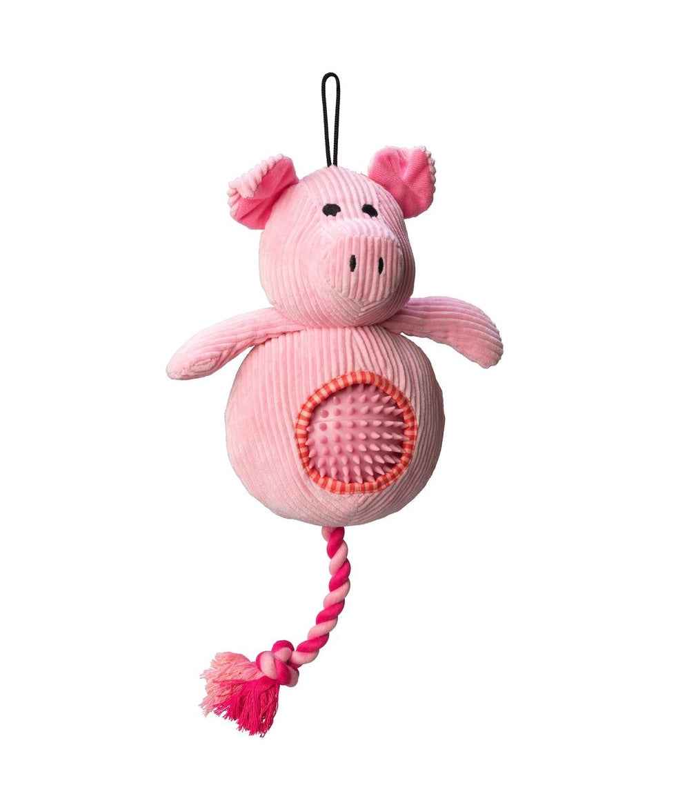 Spiky Ball Pig Dog Toy by House of Paws 