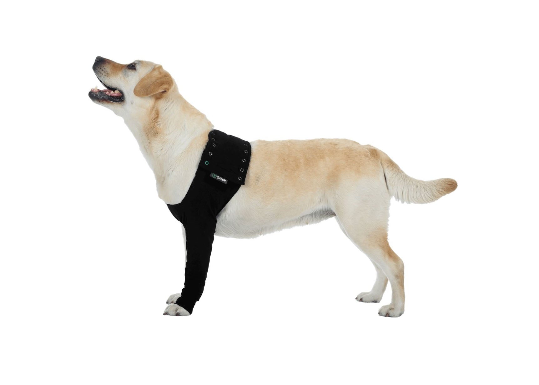 Suitical Recovery Leg Sleeve For Dogs