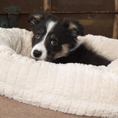 Ellen Donut Dog Bed Tan | Luxury Puppy Beds