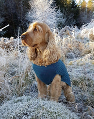 Teal Cable Knit Dog Jumper by Sotnos