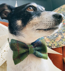 Teazel Harris Tweed Dog Collar With Detachable Bow Tie