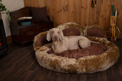 Scruffs Teddy Bear Paw Dog Bed