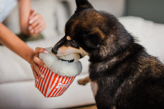 P.L.A.Y Hollywoof Poppin' Pupcorn Dog Toy