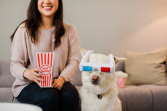 P.L.A.Y Hollywoof D3-Dog Glasses Dog Toy