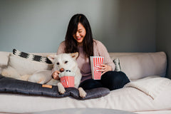 P.L.A.Y Hollywoof Poppin' Pupcorn Dog Toy