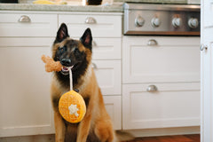 P.L.A.Y  Barking Brunch Chicken & Waffles Plush Dog Toy