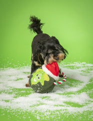 Festive Brussels Sprout On A Rope Christmas Dog Toy