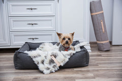 Tosse Faux Fur Dog Blanket by Labbvenn