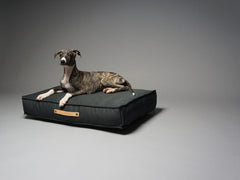 Tove Anthracite Cushion Dog Bed by Labbvenn