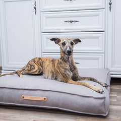 Tove Nut Cushion Dog Bed by Labbvenn