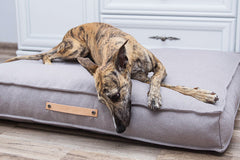 Tove Nut Cushion Dog Bed by Labbvenn