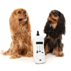 FuzzYard The Brick Phone Retro Dog Toy