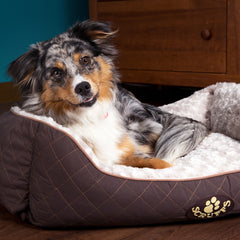 Scruffs Wilton Box Dog Bed Brown | Luxury Dog Beds