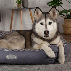 Scruffs Wilton Box Dog Bed Grey | Luxury Dog Beds