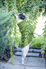 Wooldog Classic Monstera Green Dog Jumper | Luxury Dog Jumpers