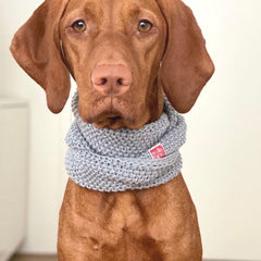Wooldog Necky Light Graphite Grey Dog Neck Cowl