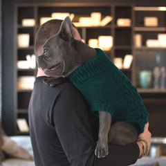 Wooldog Supreme 100% Merino Wool Royal Emerald Hand-Knitted Dog Jumper